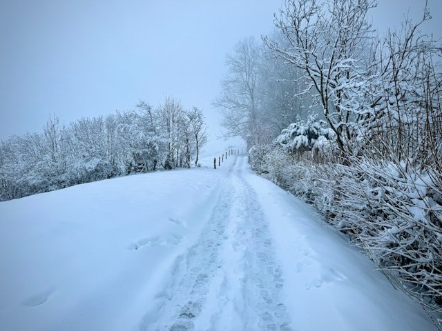 Learning to Drive in Winter 4 albatros aslan RQT5e2PWrFY unsplash