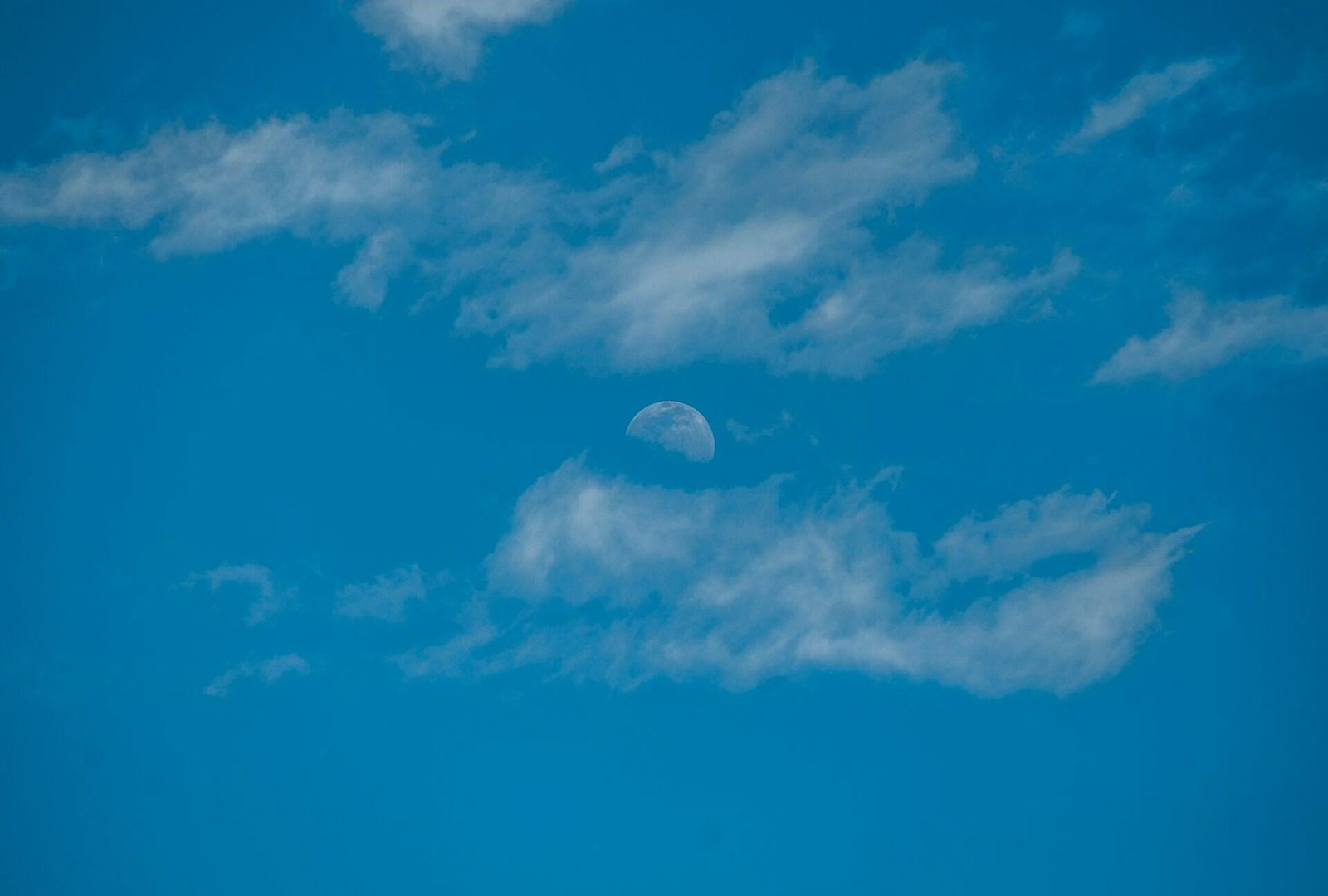 diego romeo YnsA8 tseg unsplash